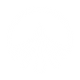 Untitled design (19).png