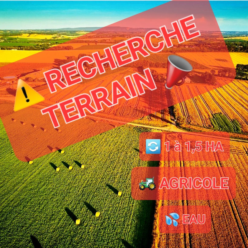 La Pension de Yas a besoin de vous !