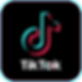 tt logo.png