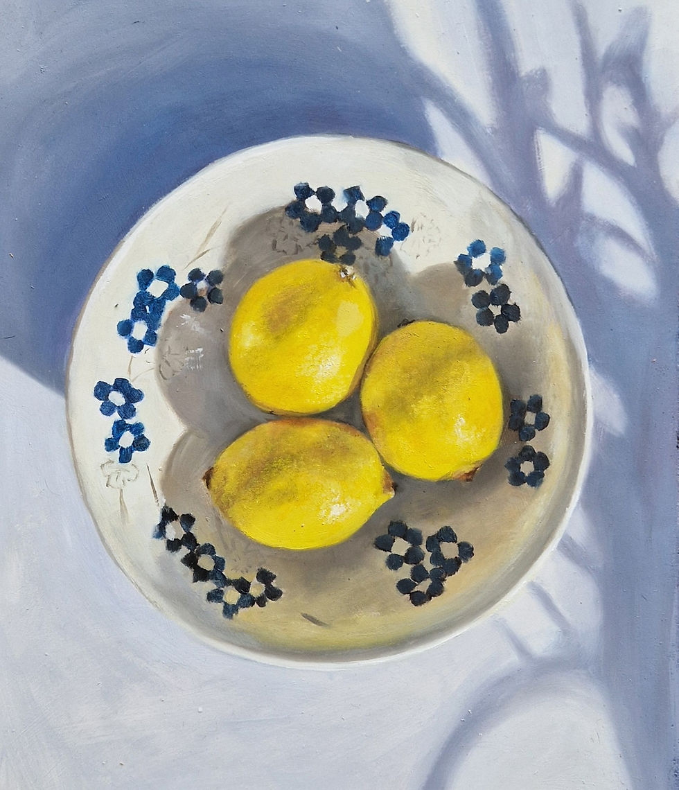 Lemons and Shadows by Julie Davis