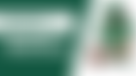 New York Jets Fantasy Football Preview