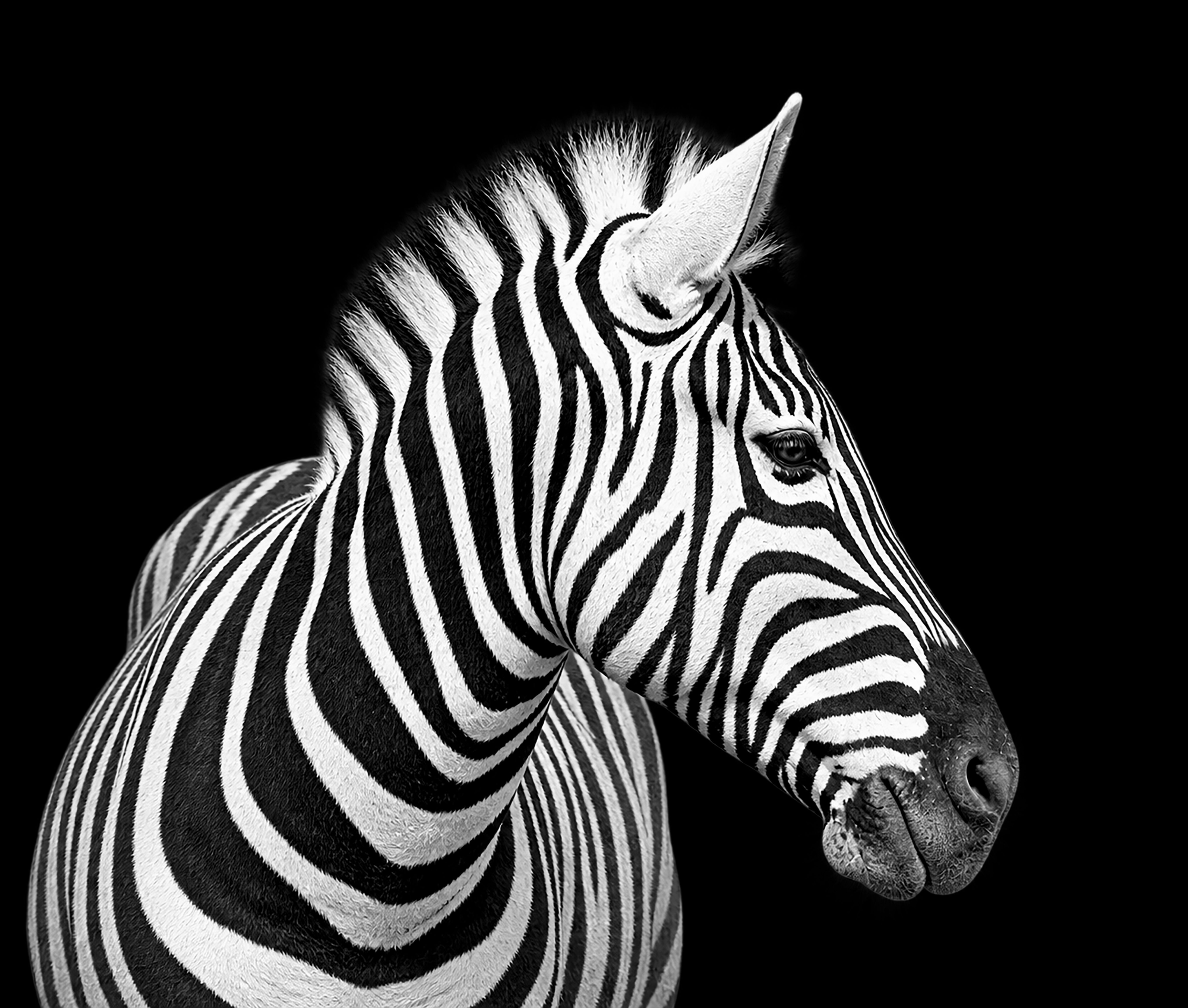Looking Away - Namibia