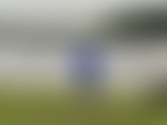 Illinois Meets Mississippi