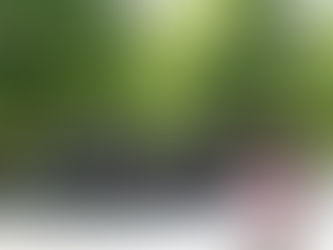 Time Travel is Possible!