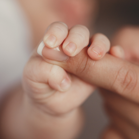 The Sacred Work of Being Hidden: When God Calls You to the Home