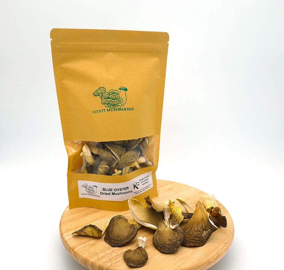 Buy Dried Mushrooms UK Merit Mushrooms