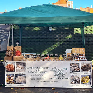 Merit Mushrooms Market Stall (1).jpg