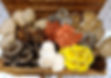 Mushroom Mix Merit Mushrooms