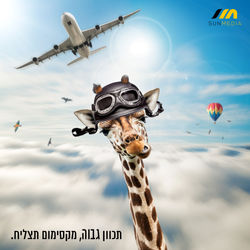 ג'ירף שמיים2