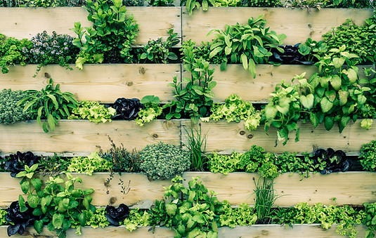 Urban Gardening