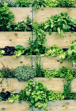 Urban Gardening