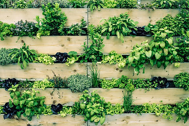Jardinage urbain