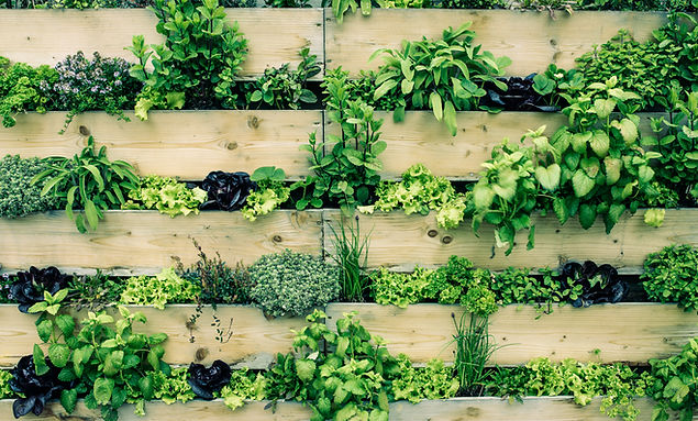 Urban Gardening