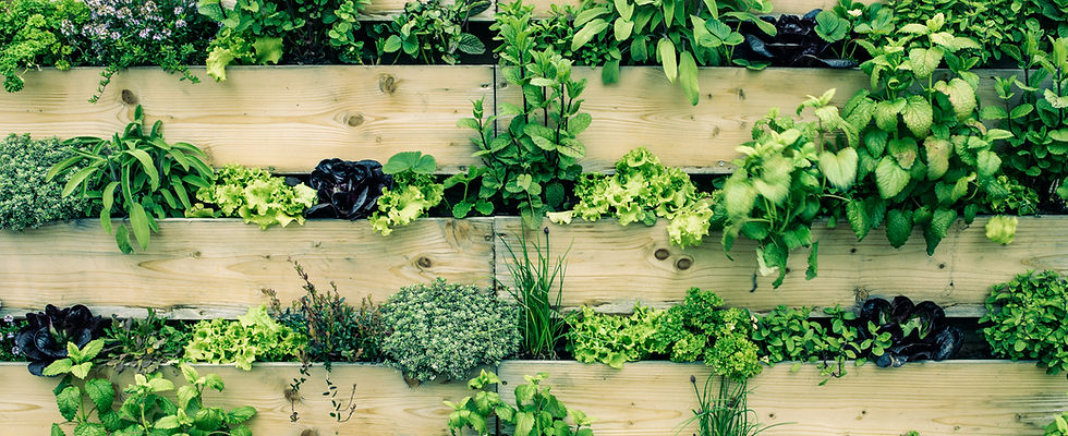 Urban Gardening