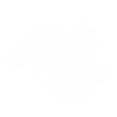 nc_logo_large_white.avif