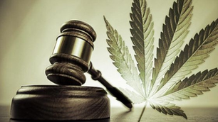 El uso lúdico de la marihuana en México