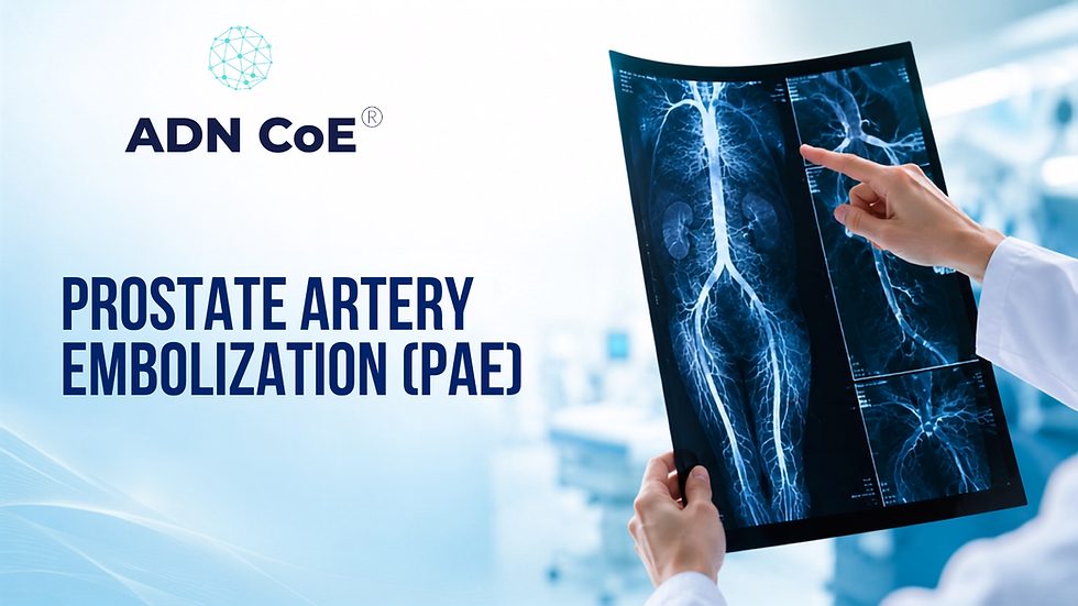 Prostate Artery Embolization (PAE)