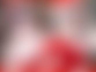 チップの12月イベント!チップクリスマス&賞金レース