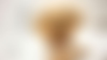 Yorkshire Terrier with a red collar looks at the camera, paws resting on the edge of a white tub. The setting is bright and clean.