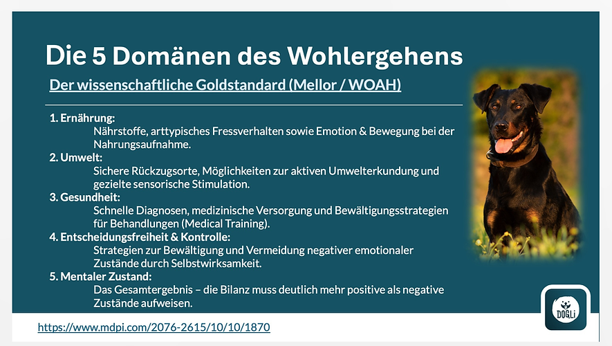 Chart mit den 5 Bereichen des Wohlergehens beim Hund