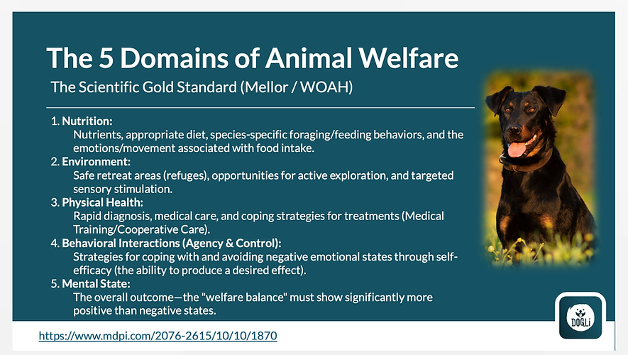 The 5 Domains of Animal Welfare David Mellor