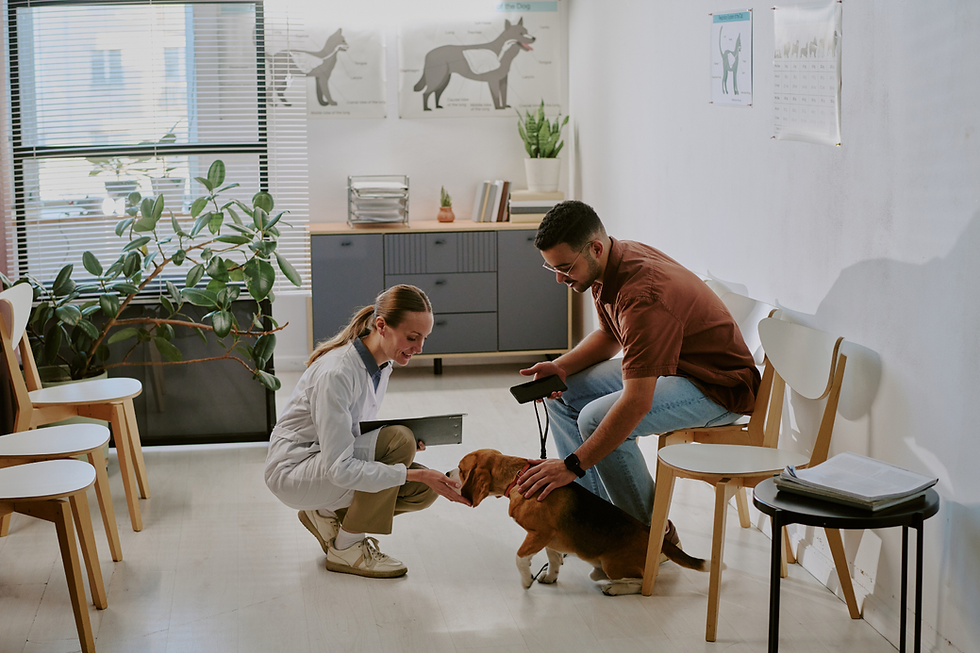 A vet kneels, smiling at a beagle in a clinic. A man holds the dog's leash. Posters and plants decorate the bright waiting room.