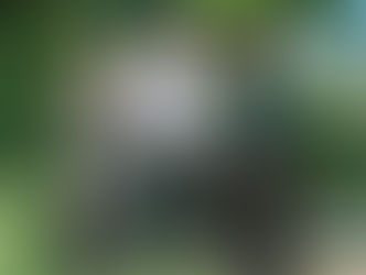 Moville Community COllege Green Ribbon Presentation