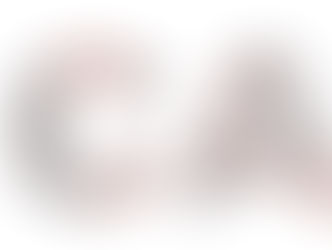 CAO/UCAS Presentation