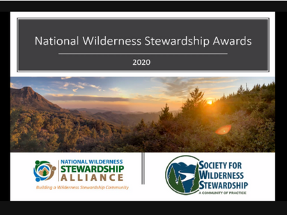SAWS Wins National Awards
