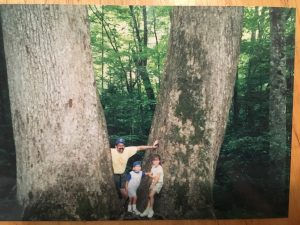 Dispatches from the Field: Knobby Knees and Big Trees