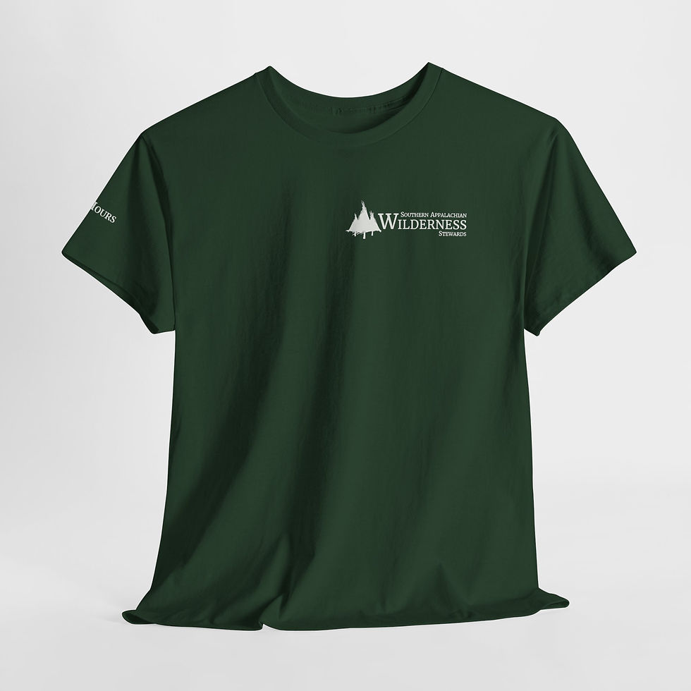 Thumbnail: Shirt 3 Green