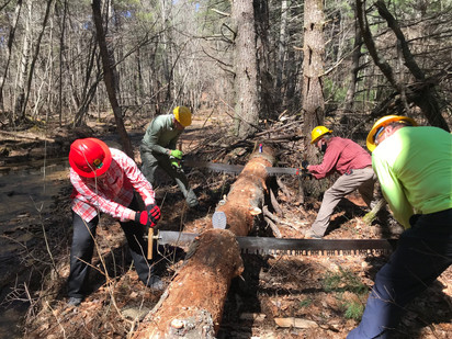 Local Trail Volunteers Sharpen their Skills with Crosscut Saws and Axes