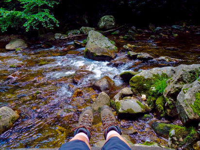 On Citico Creek- Part II
