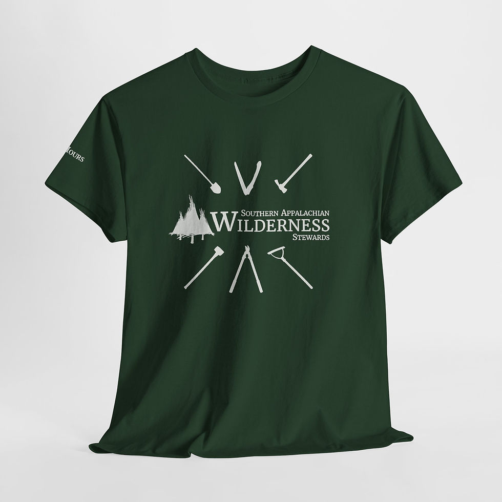 Thumbnail: Shirt 1 Green