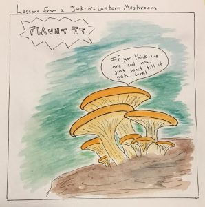 Lessons from the Wilderness