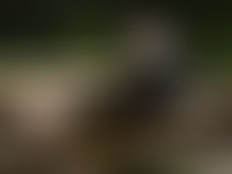 20 Seconds on Ramsey’s Draft