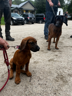 20240817_194615116_iOS