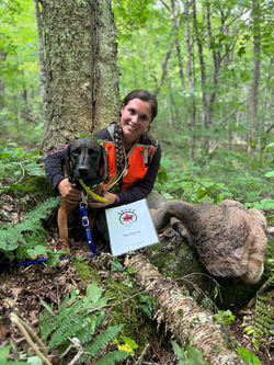 456164070_1032426468670738_5185135287628565301_n