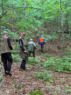 20240819_214115061_iOS