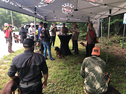 20240817_121839453_iOS