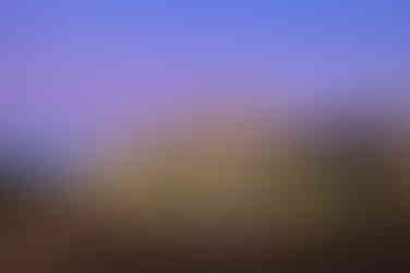 Exterior image at dusk of Mount Prospect Police Headquarters with building lights on and three flags blowing in the wind. Prime example of adaptive reuse project.