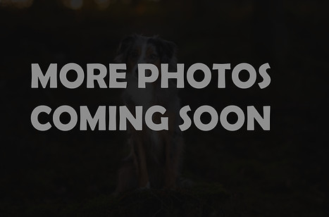 comingsoon_edited.jpg