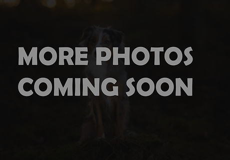 comingsoon_edited.jpg