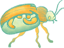 Käfer