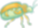 Beetle