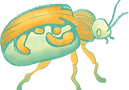 Scarabée