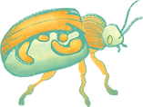 Beetle
