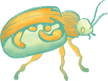 escarabajo
