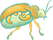 Beetle