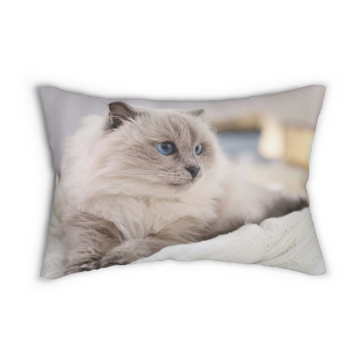 Cozy Ragdoll Cat Spun Polyester Lumbar Pillow